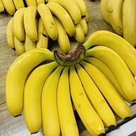 60个香蕉多少钱(60个香蕉多少钱)