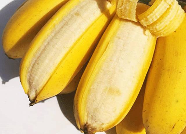 2种香蕉有什么不同(2种香蕉有什么不同吗)