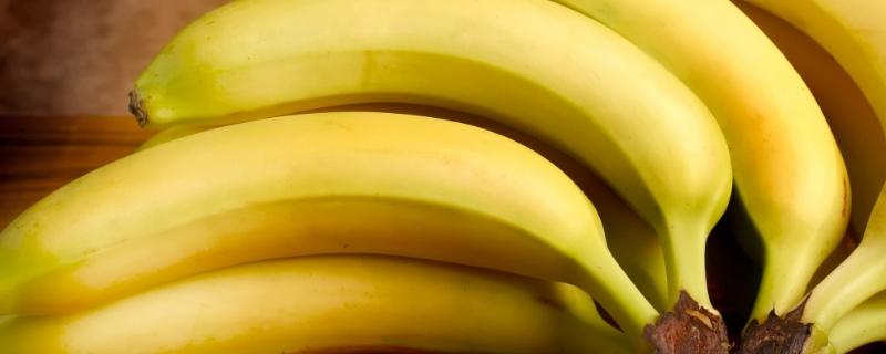 76香蕉是什么(香蕉17045)