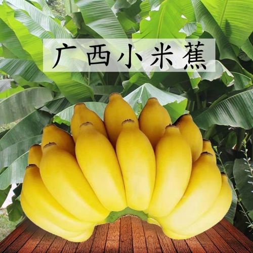 2018年广西香蕉有多少(2021广西香蕉情况)