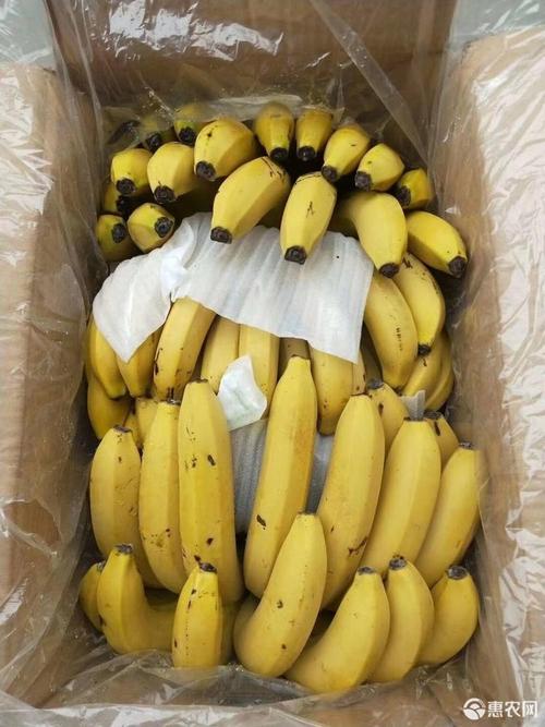 1000斤香蕉多少钱(一斤香蕉大概多少钱)
