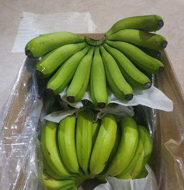 2000件香蕉大概多少吨(2000件香蕉大概多少吨呢)