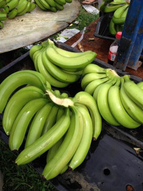 26斤香蕉多少个(26斤香蕉多少个人吃)