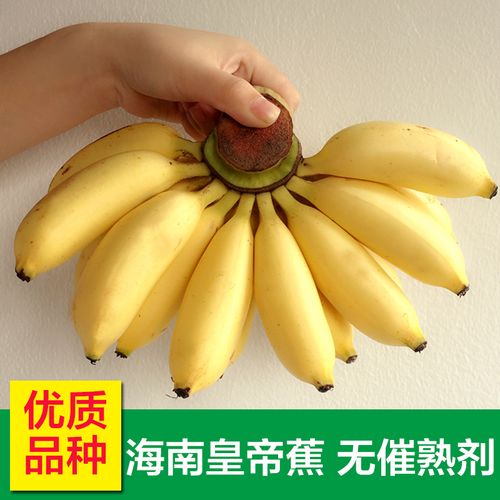3个9香蕉顶多少(三个香蕉有多重)
