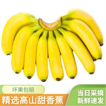 2500克香蕉多少钱(600g香蕉多少钱)